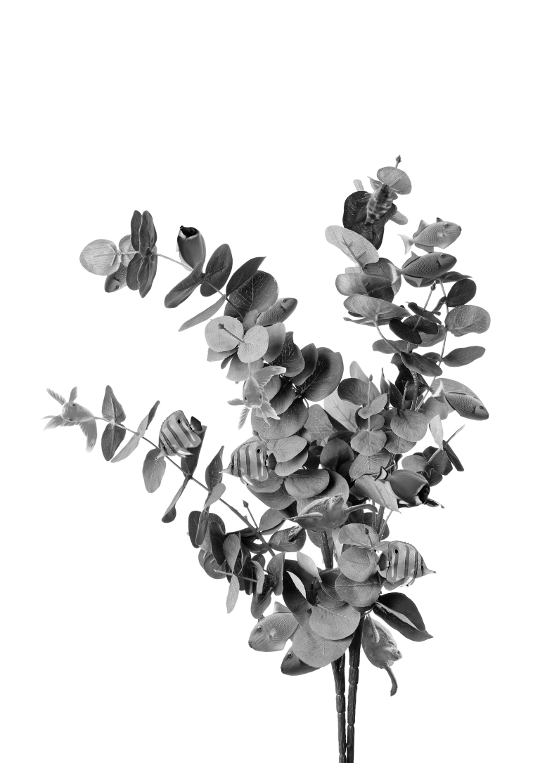 隠し絵